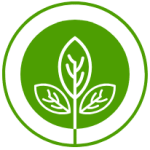 cropped-Green-and-White-Modern-Illustrative-Gardening-and-Plants-Website-Logo-2.png